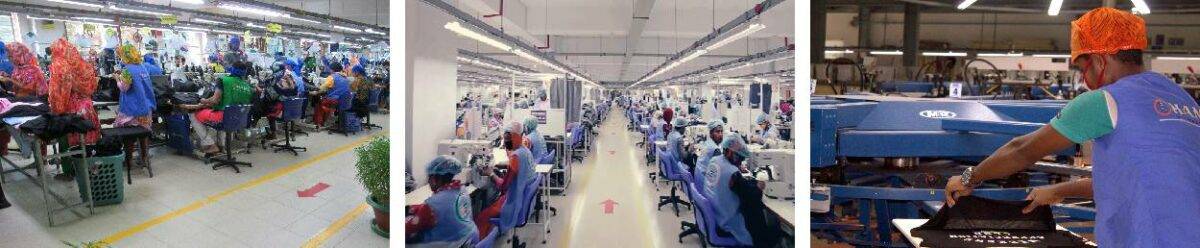 Hams Group Production Factory