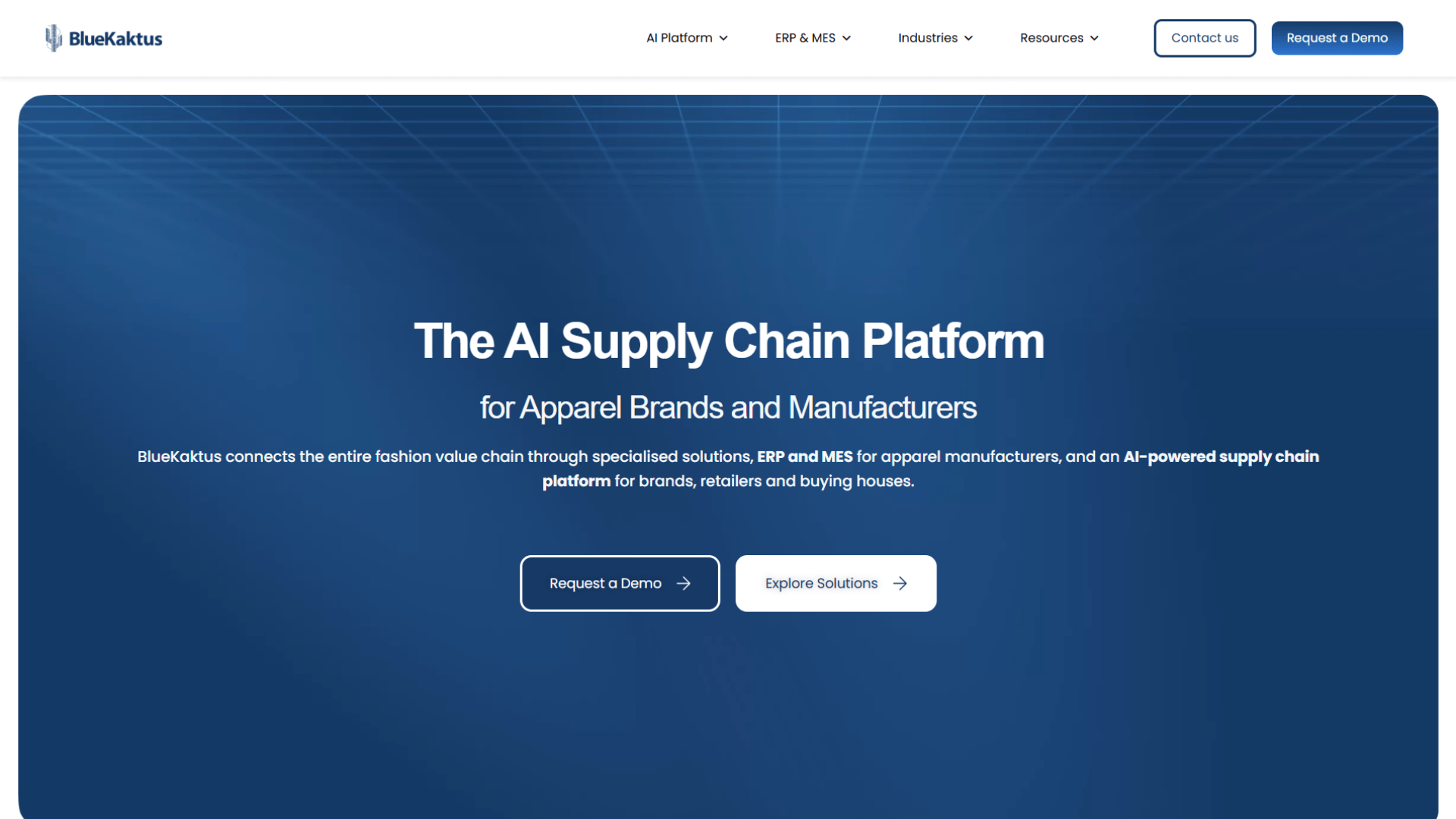 A screen capture of the BlueKaktus website homepage