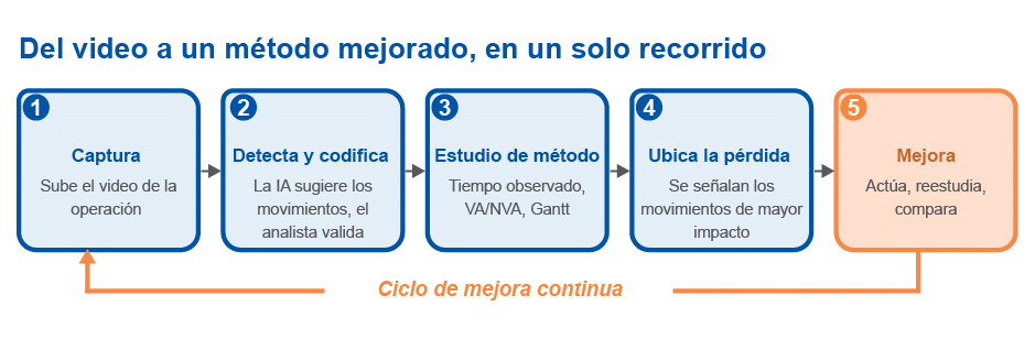 Spanish_Real Motion 1